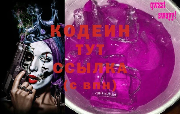 хмурый Покачи