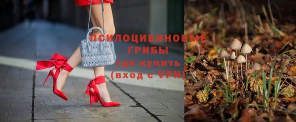 spice Курчалой