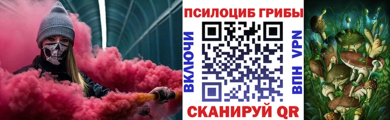 где купить наркоту Новотроицк Галлюциногенные грибы Magic Shrooms