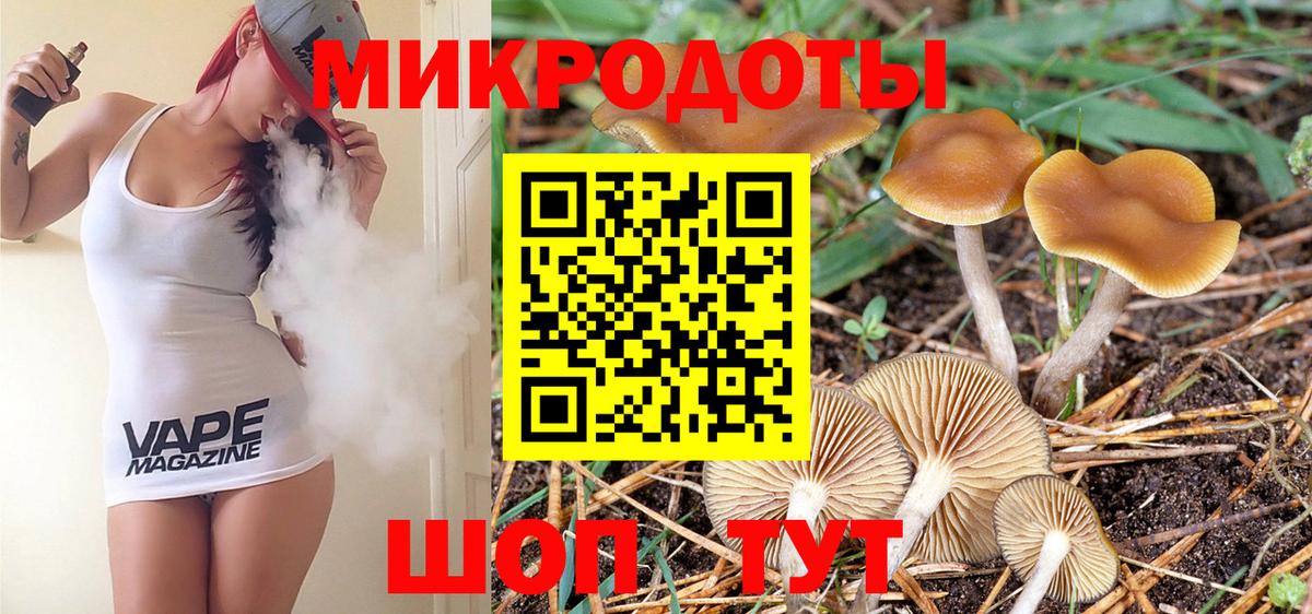 Галлюциногенные грибы MAGIC MUSHROOMS Новотроицк